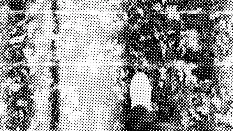 Vlcsnap 2024 04 12 13h46m05s918 Ea136636d7