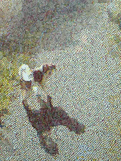 RSTR CMY Pet Plot Detail